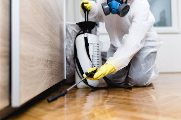 Best Exterminator Services  in Post, TX