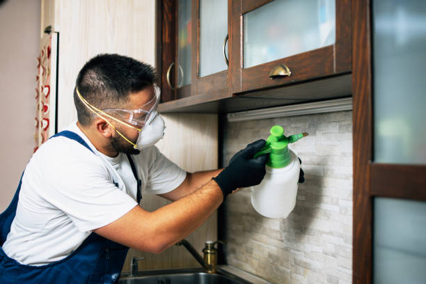Best Best Pest Control Companies  in Post, TX