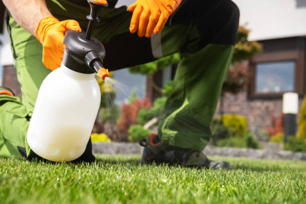 Best Best Pest Control Companies  in Post, TX