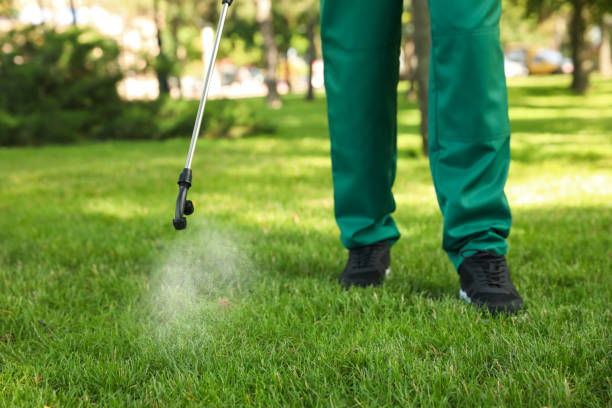 Best Best Pest Control Near Me  in Post, TX