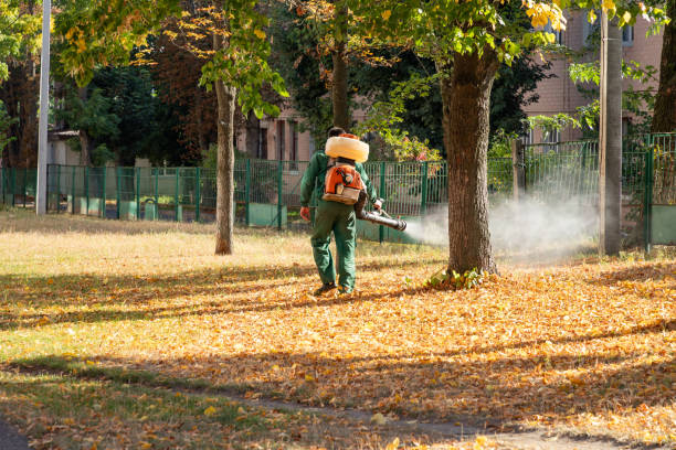 Best Commercial Pest Control Services  in Post, TX